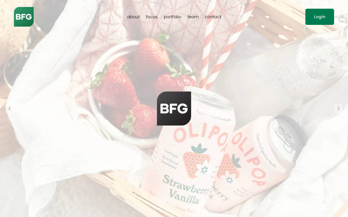 BFG Partners website preview