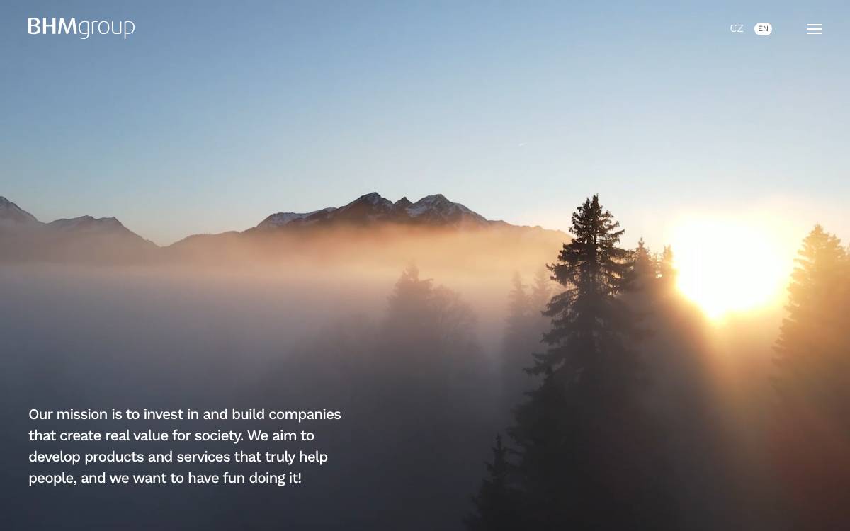 BHM Group website preview