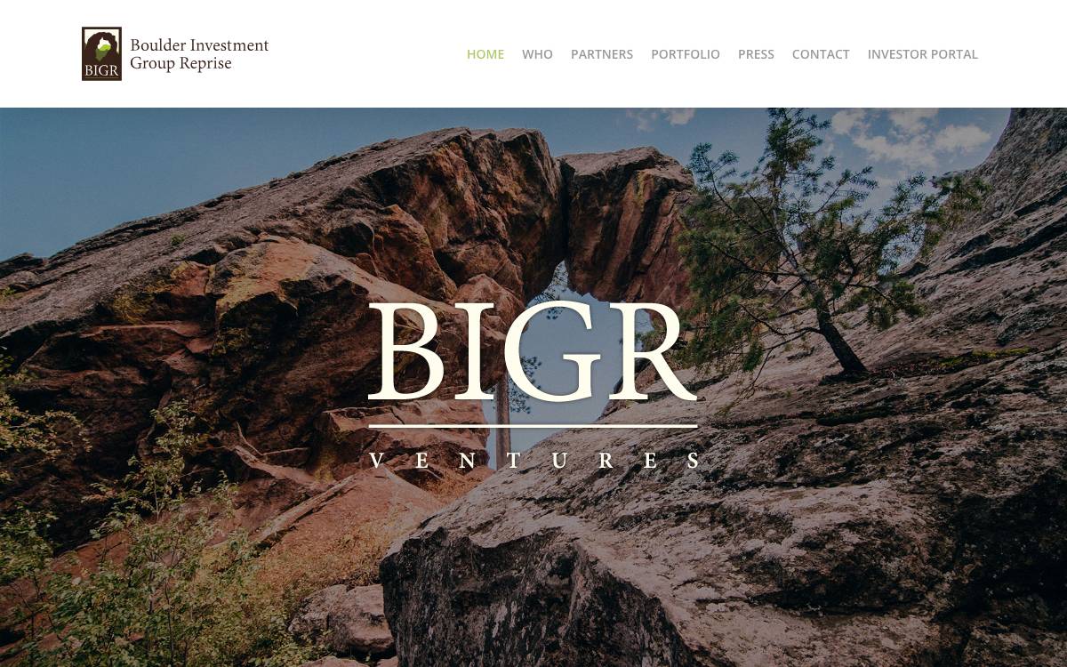 BIGR Ventures website preview