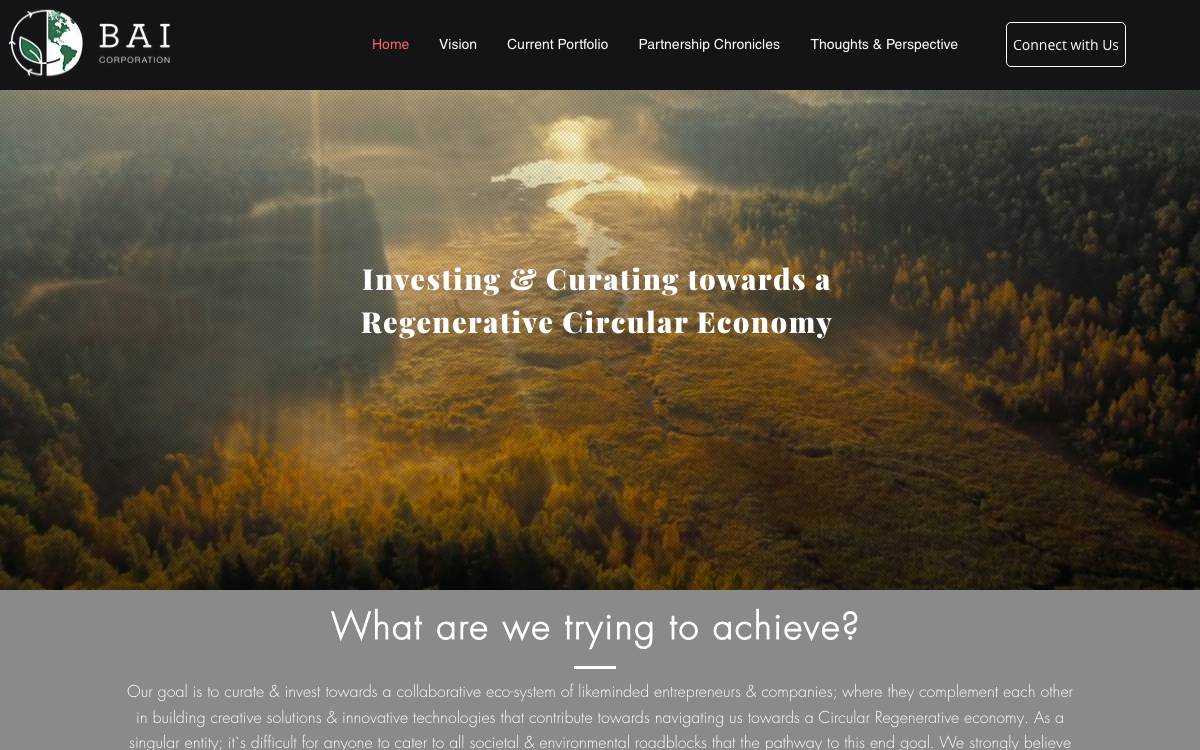 Bild Alternative Investments Corporation website preview