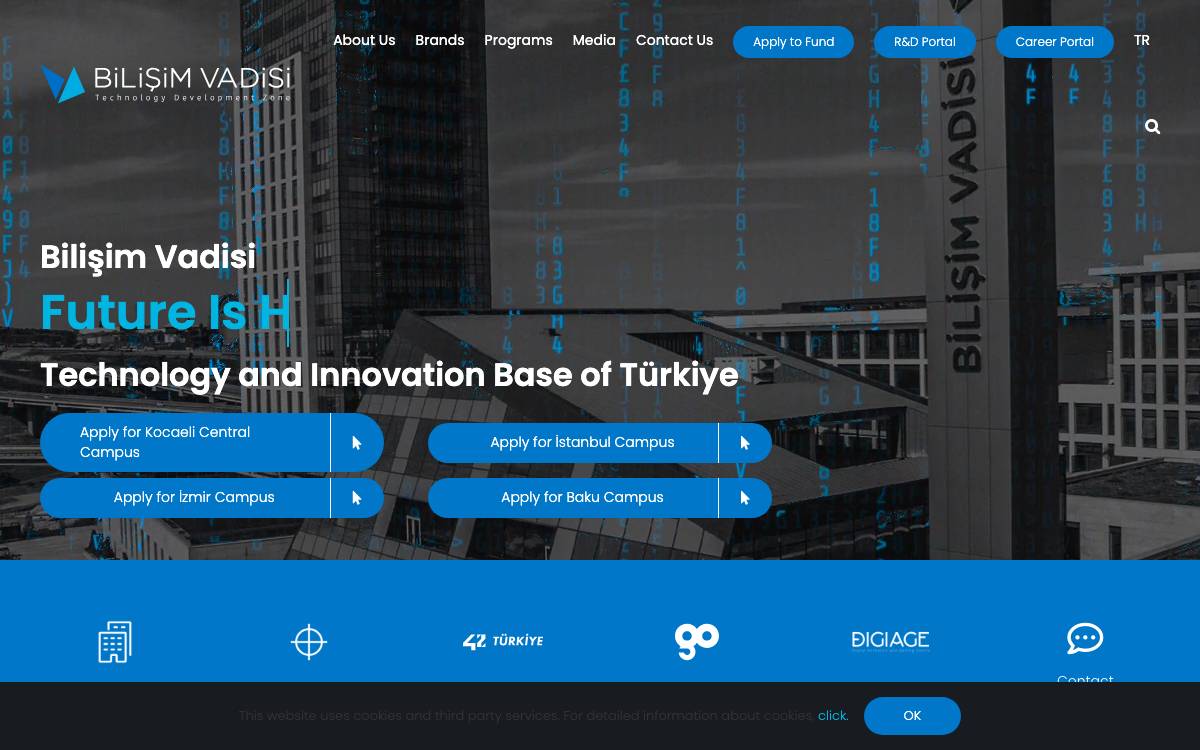 Bilişim Vadisi website preview