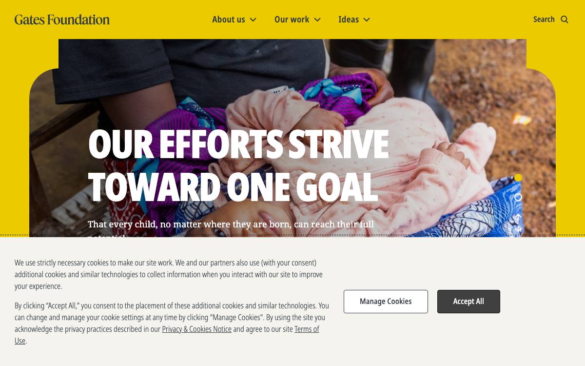Bill & Melinda Gates Foundation website preview