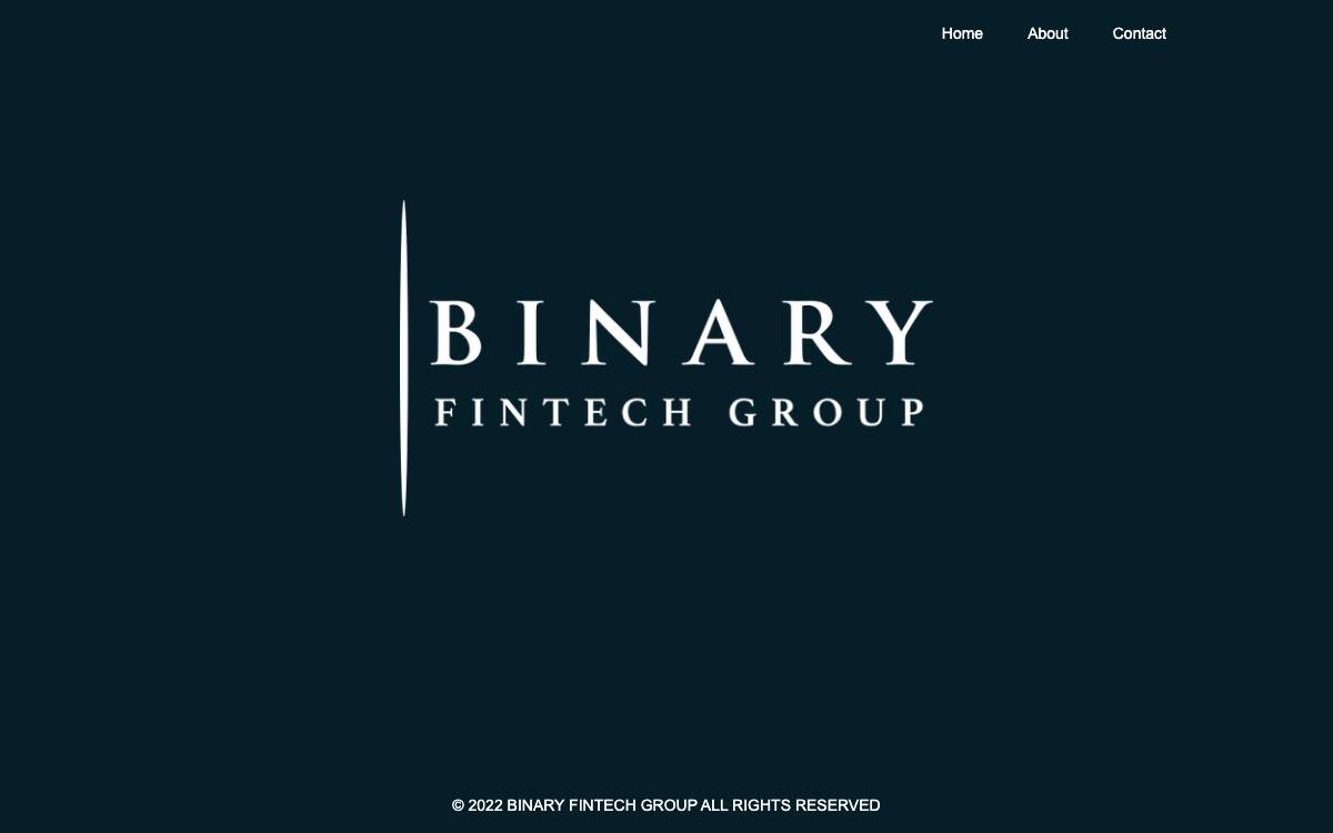 Binary Financial website preview