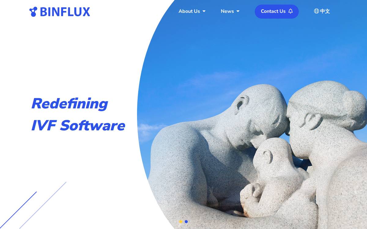 Binflux website preview