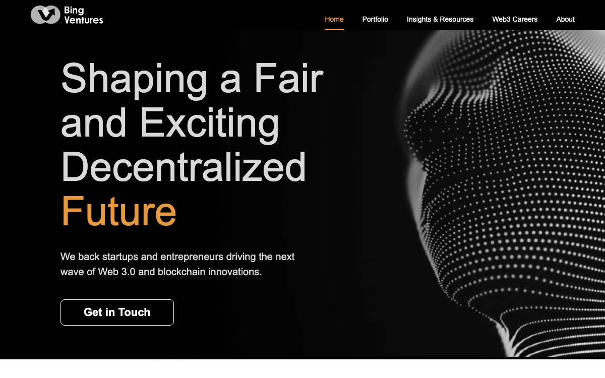 Bing Ventures website preview