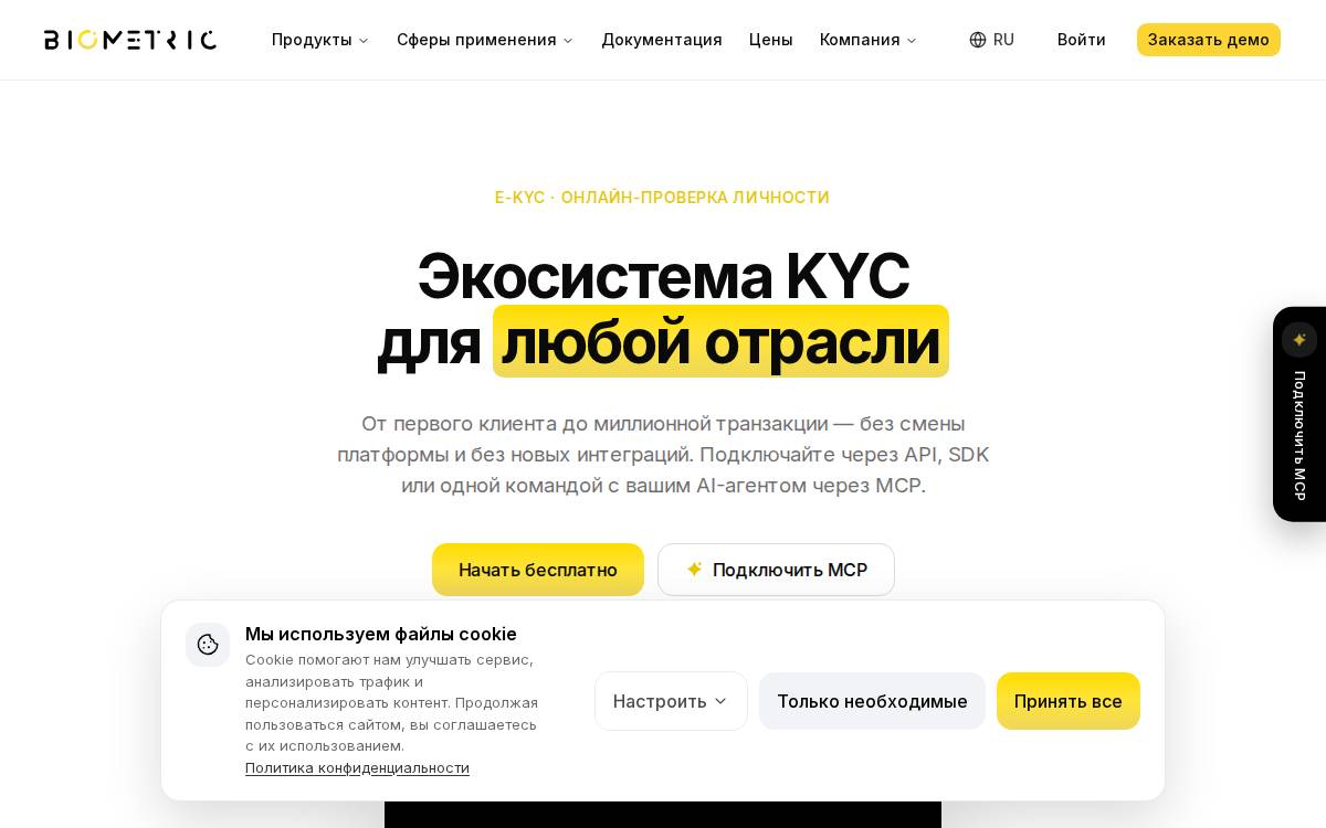 Biometric.vision website preview