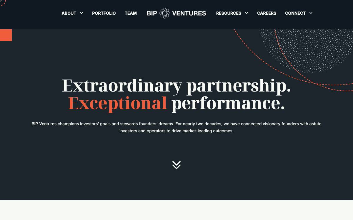 BIP Ventures website preview