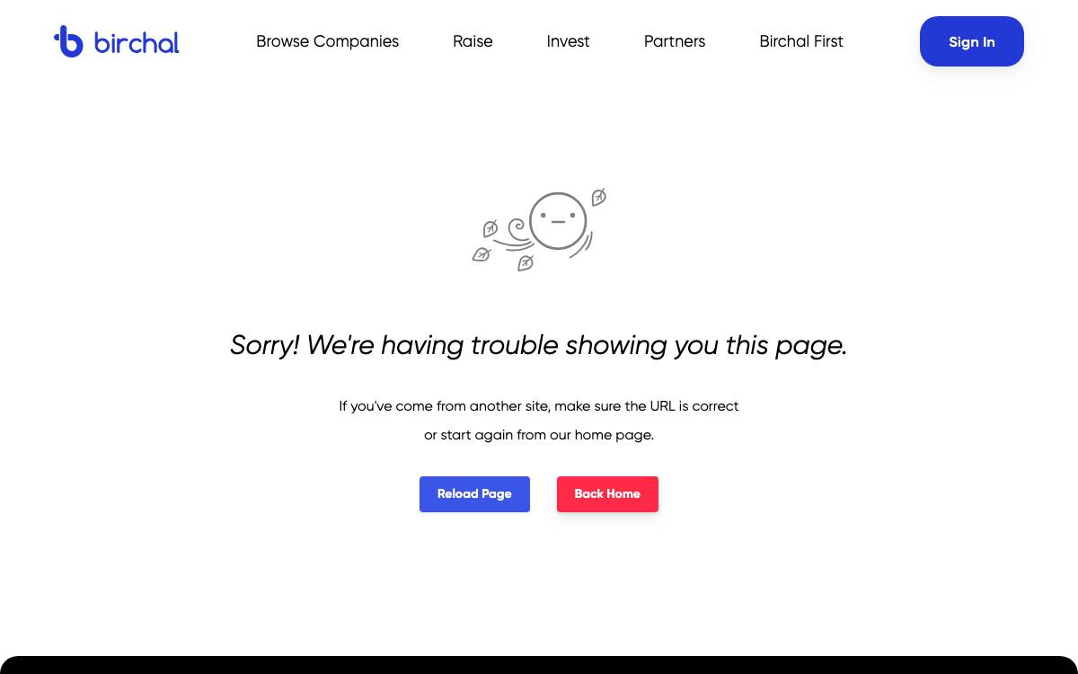 Birchal First website preview