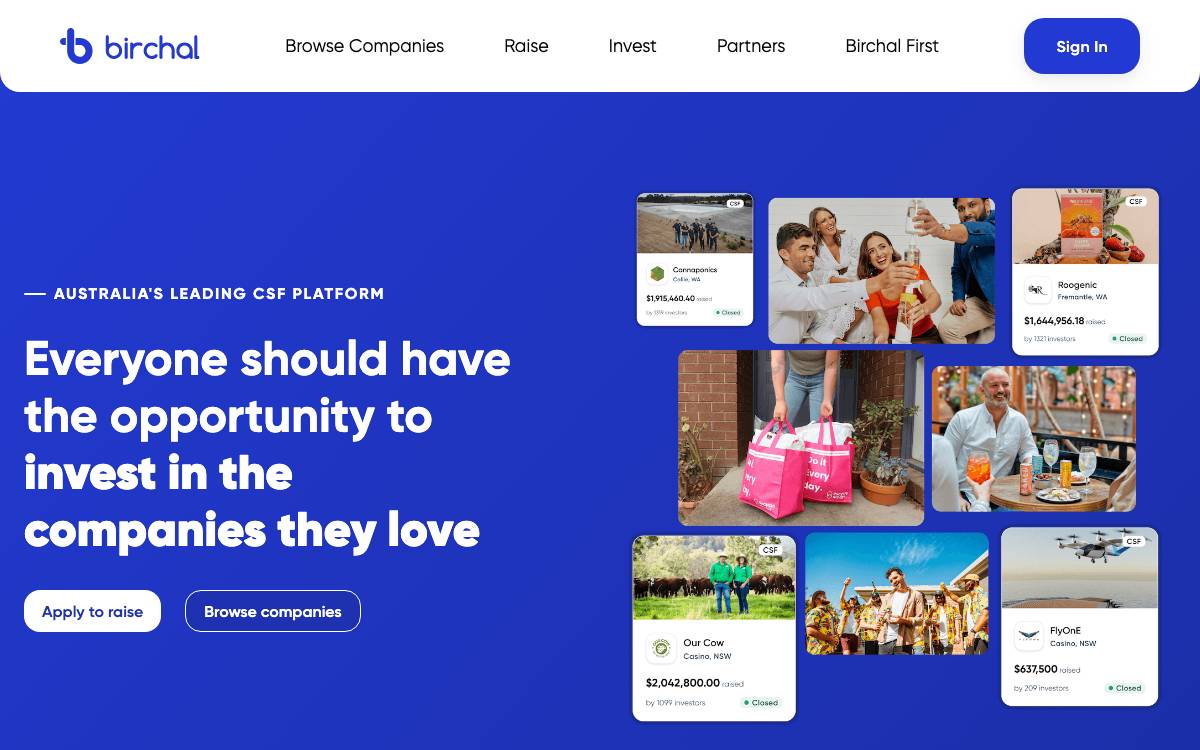 Birchal website preview