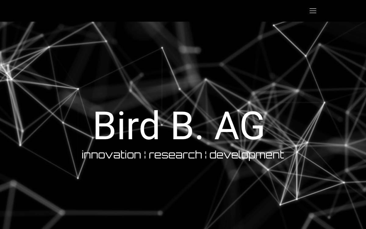 Bird B. AG website preview