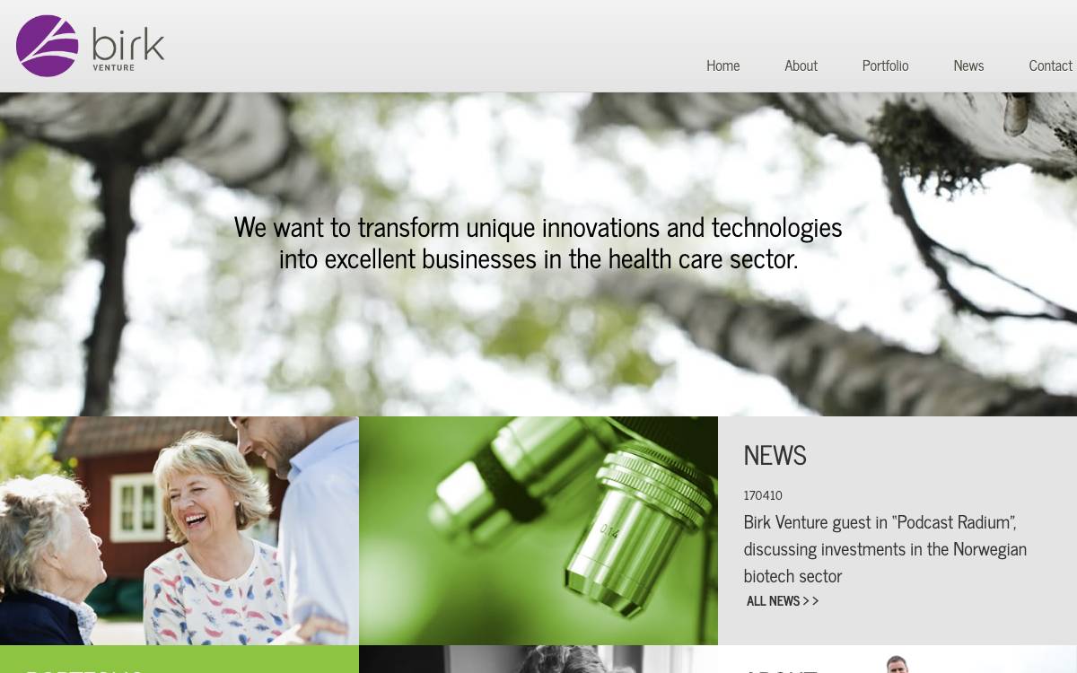 Birk Venture website preview