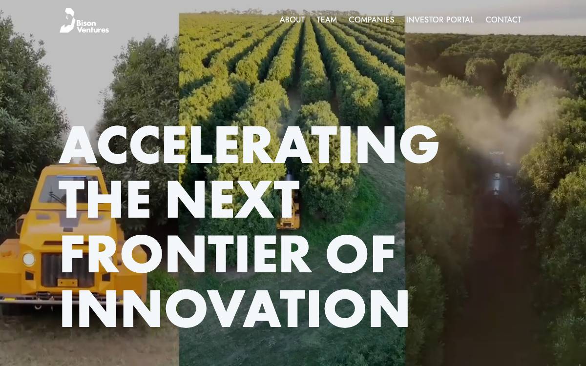 Bison Ventures website preview