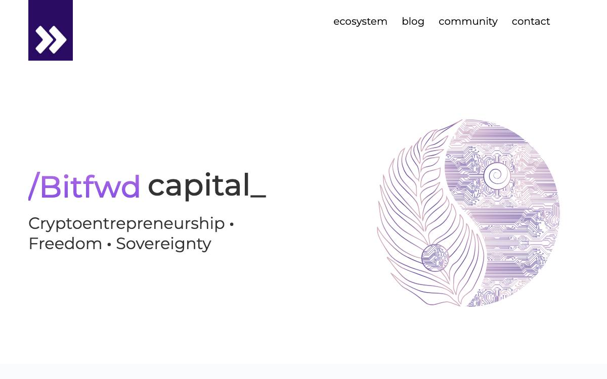Bitfwd Capital website preview