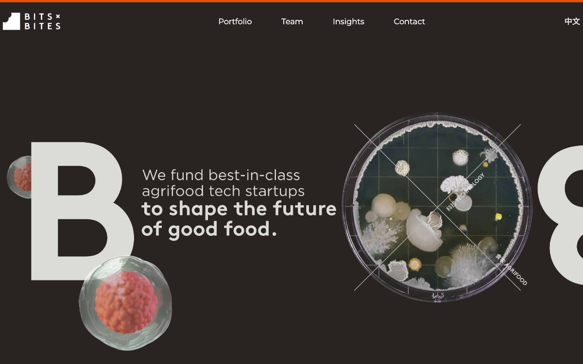 Bits x Bites website preview