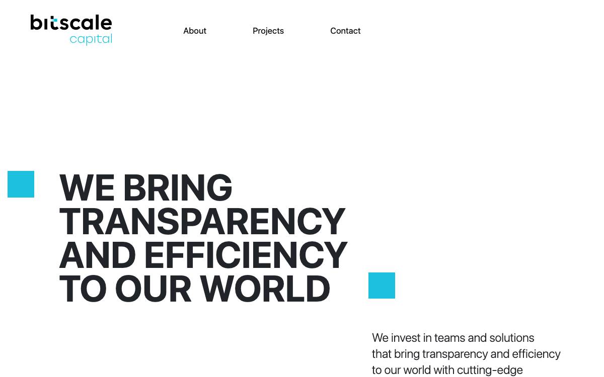 Bitscale Capital website preview