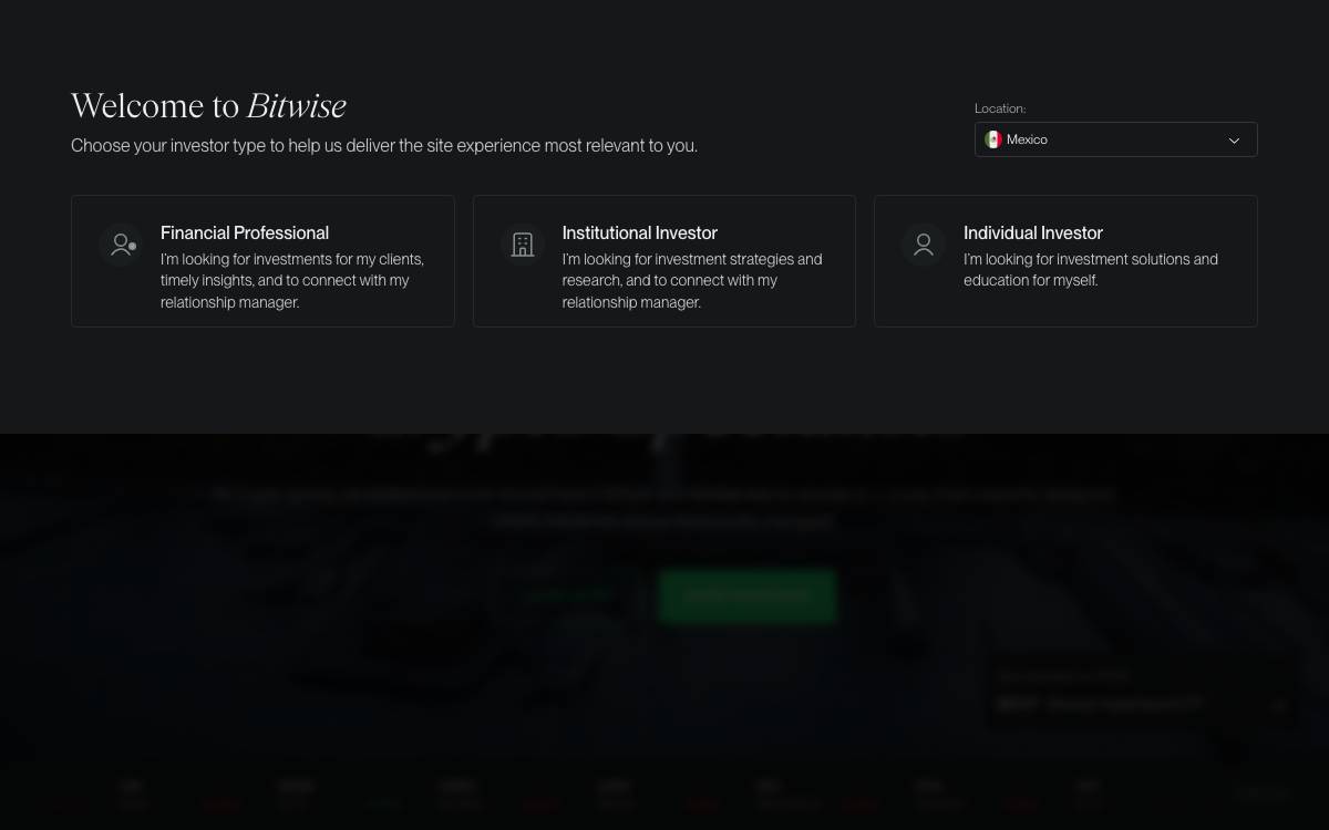 Bitwise Asset Management website preview