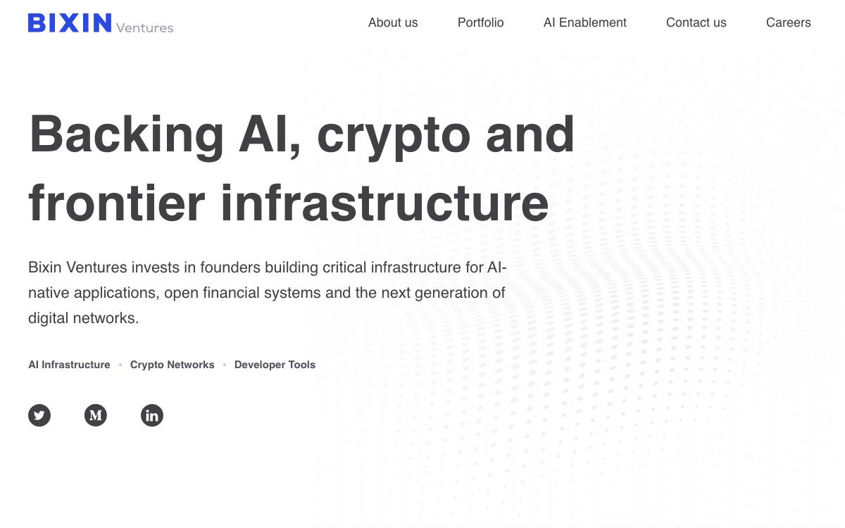 Bixin Capital website preview
