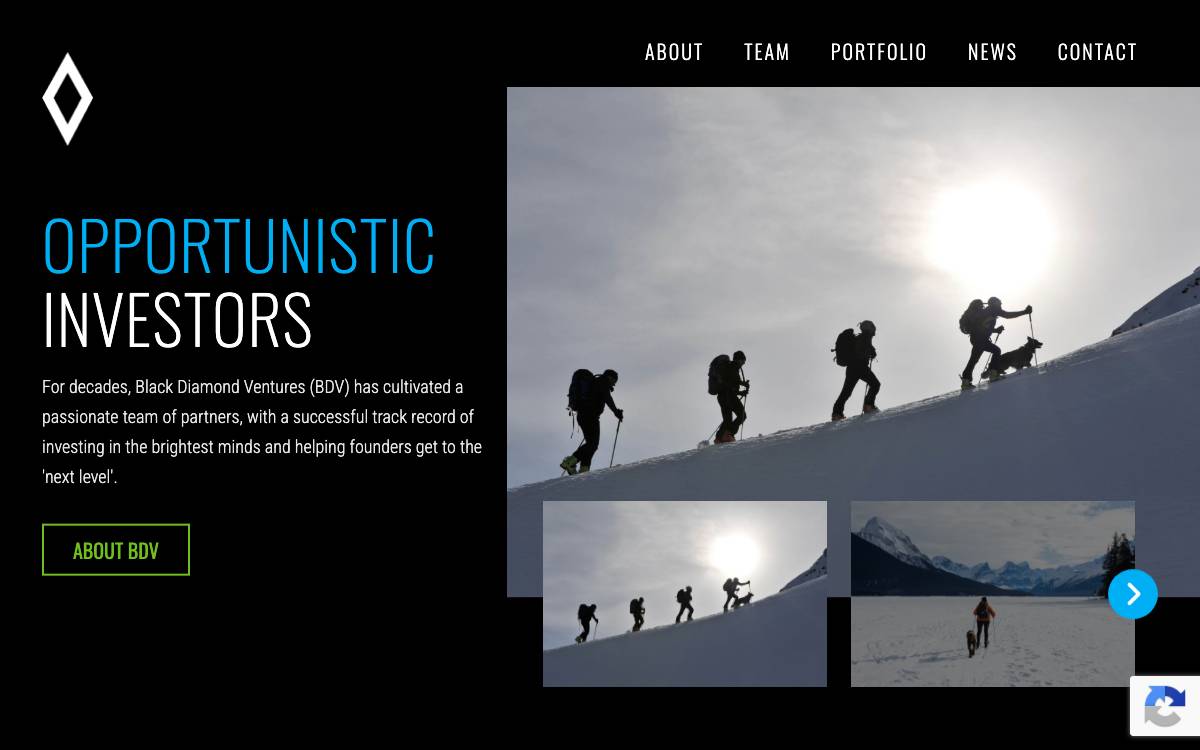 Black Diamond Ventures website preview