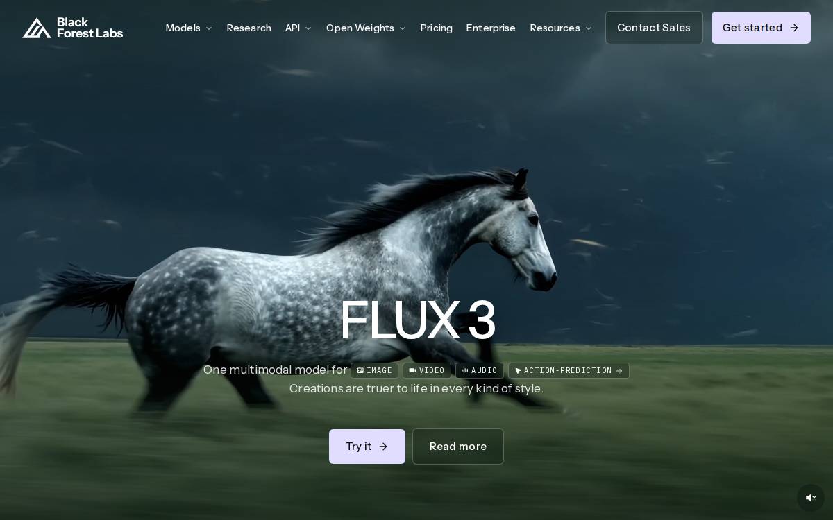 Black Forest Labs website preview