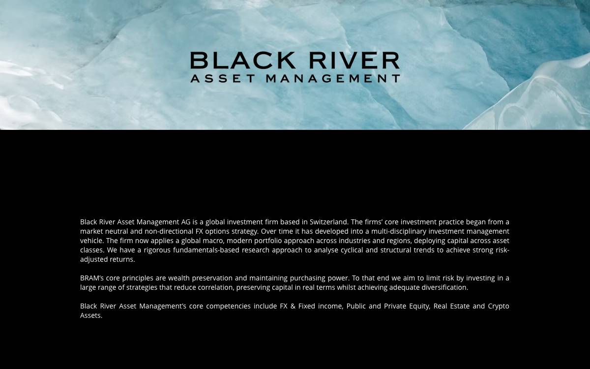 Black River Asset Management website preview