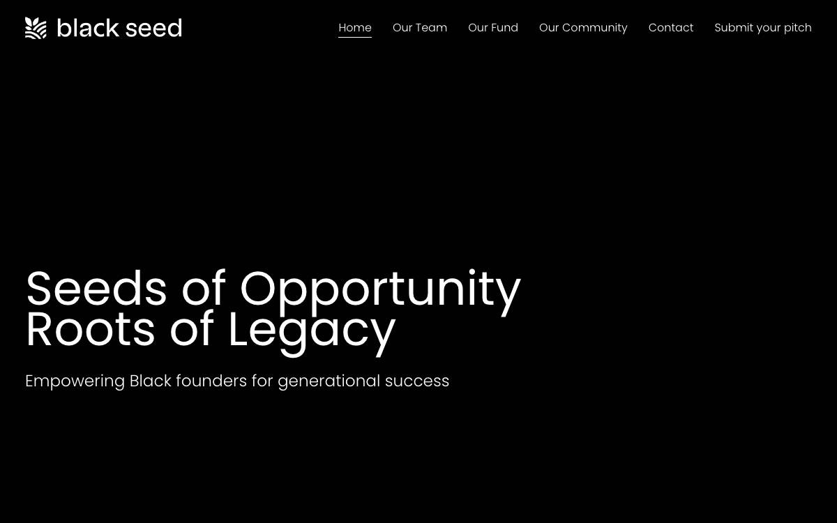 Black Seed website preview