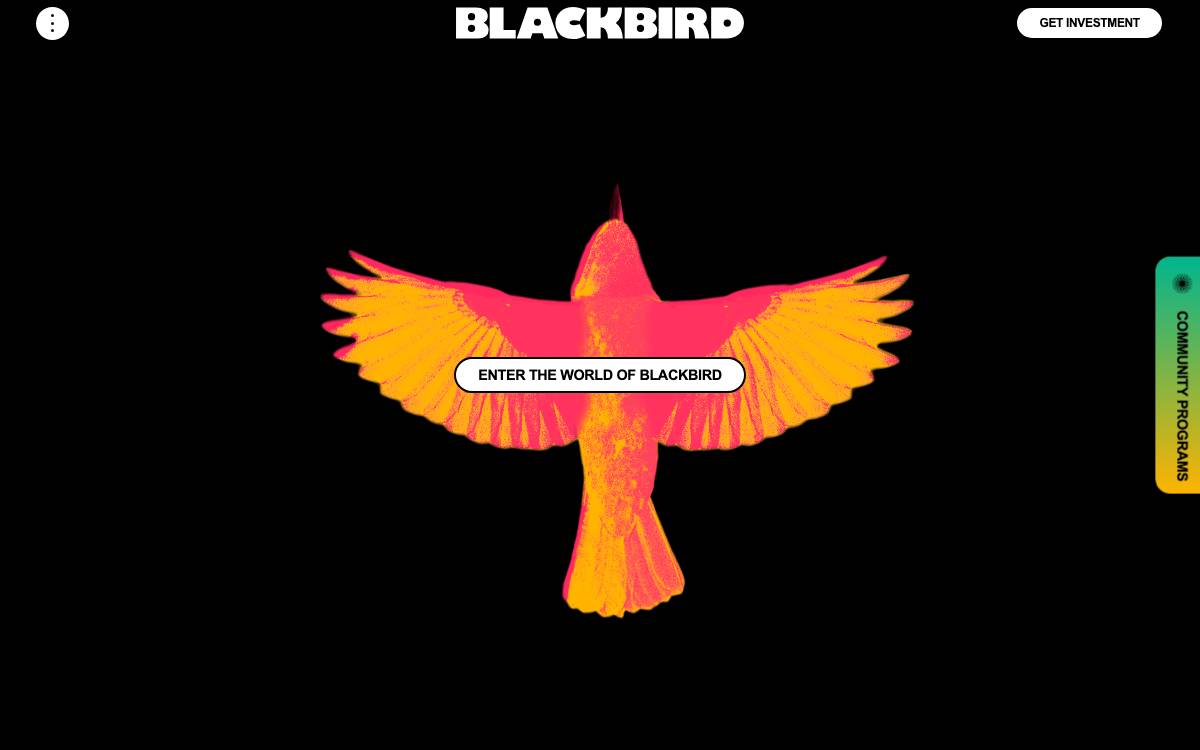 Blackbird Ventures website preview
