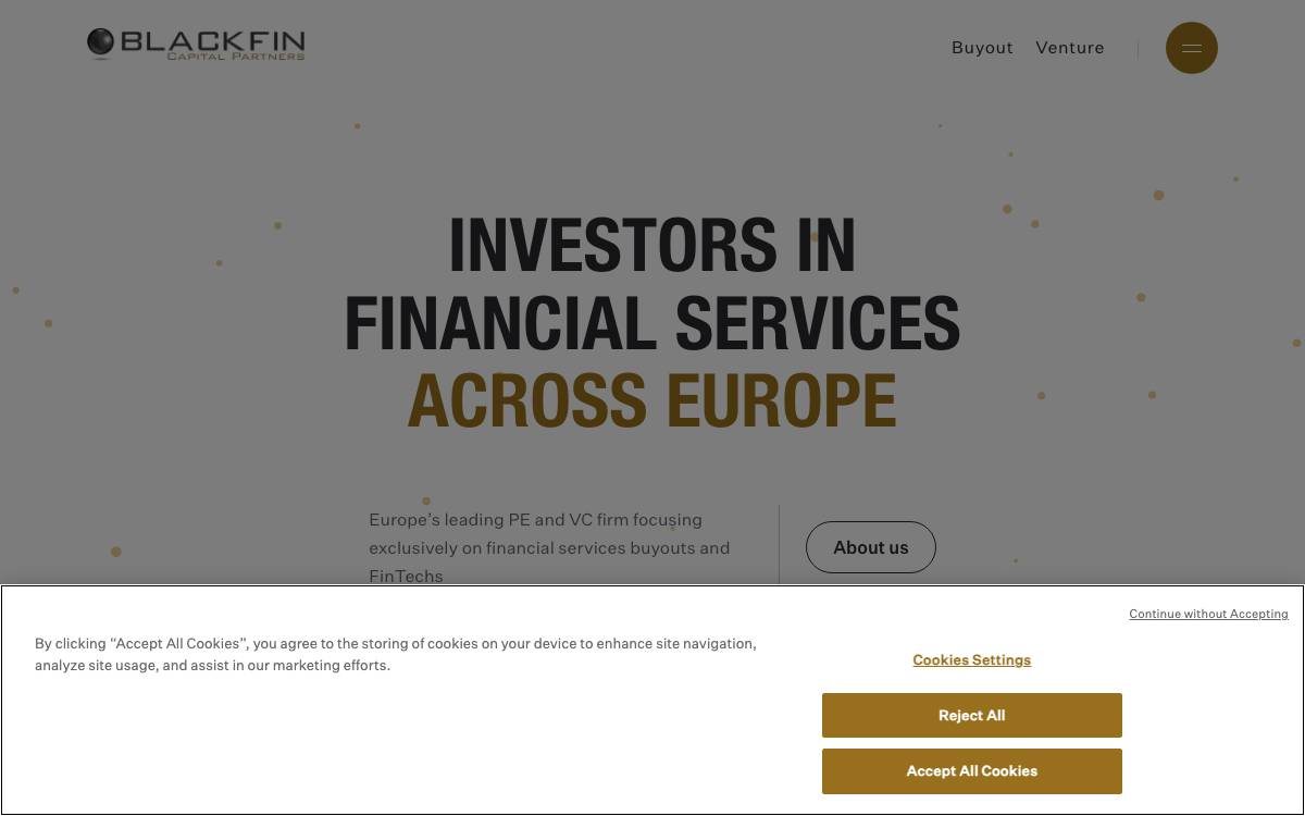BlackFin Capital Partners website preview