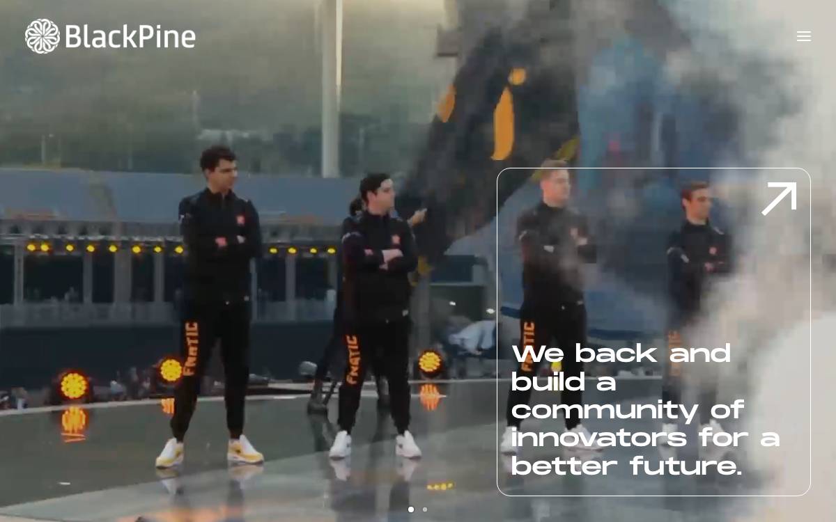 BlackPine website preview