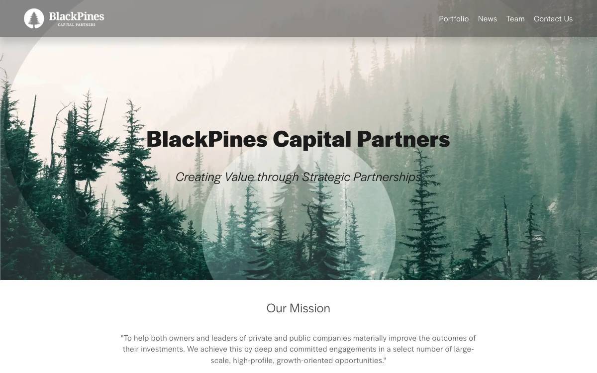 BlackPines Capital Partners website preview