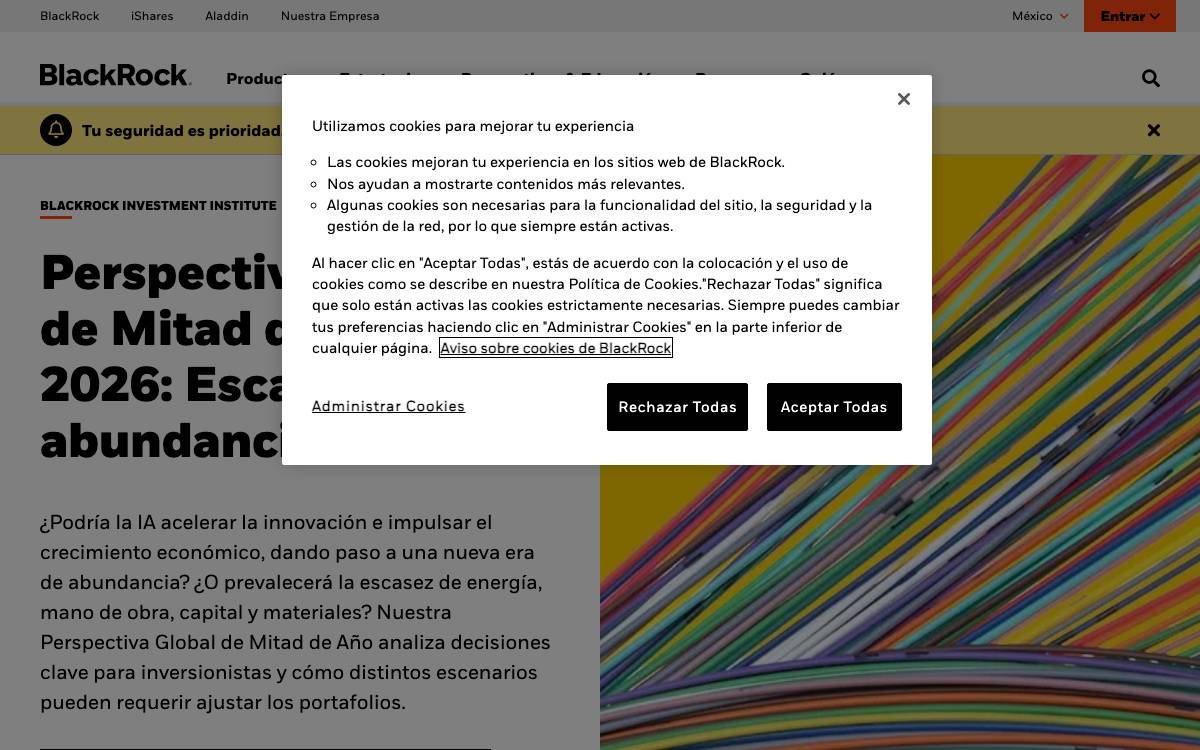 BlackRock website preview