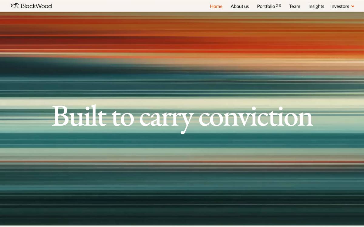 BlackWood Ventures website preview
