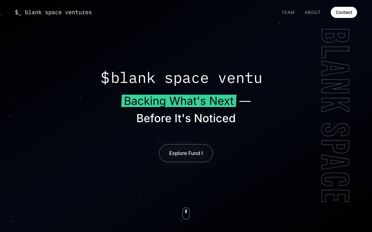 Blank Space Ventures website preview