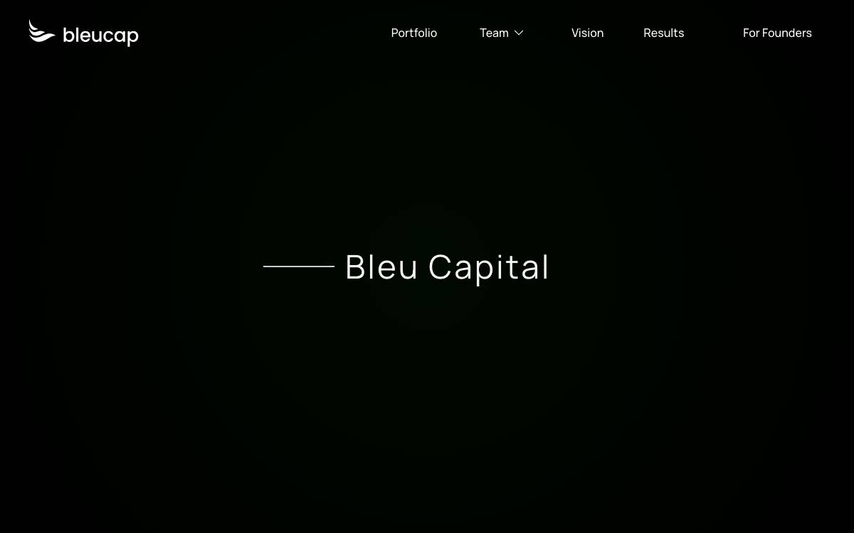Bleu Capital website preview
