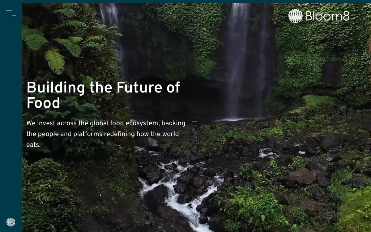 Bloom8 website preview