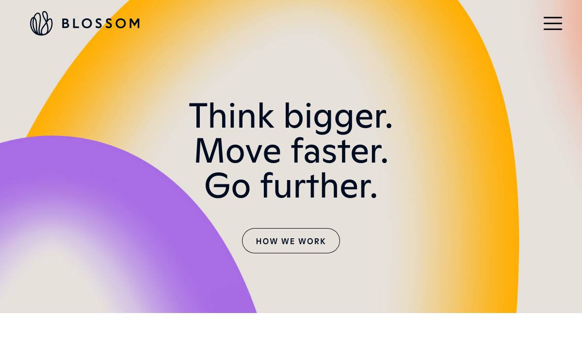 Blossom Capital website preview