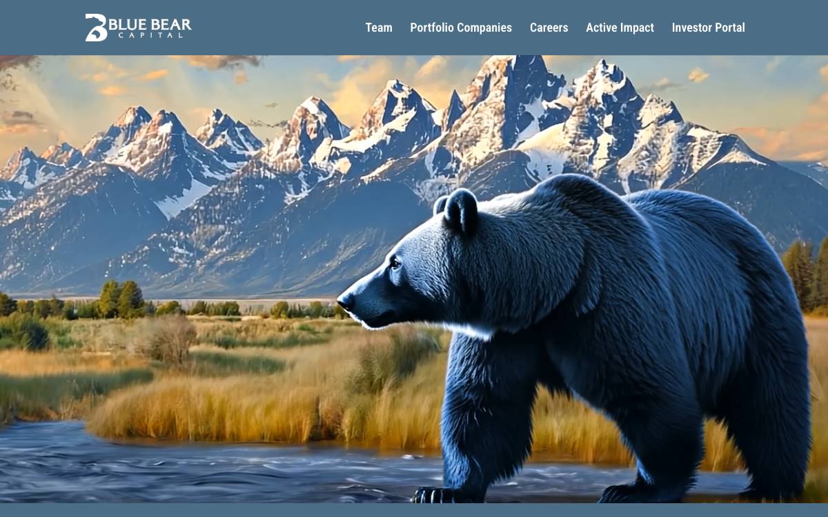 Blue Bear Capital Partners website preview