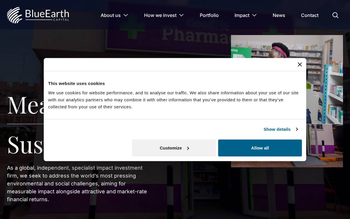 Blue Earth Capital AG website preview