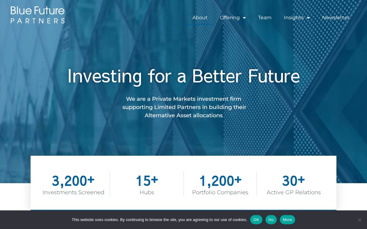 Blue Future Partners website preview