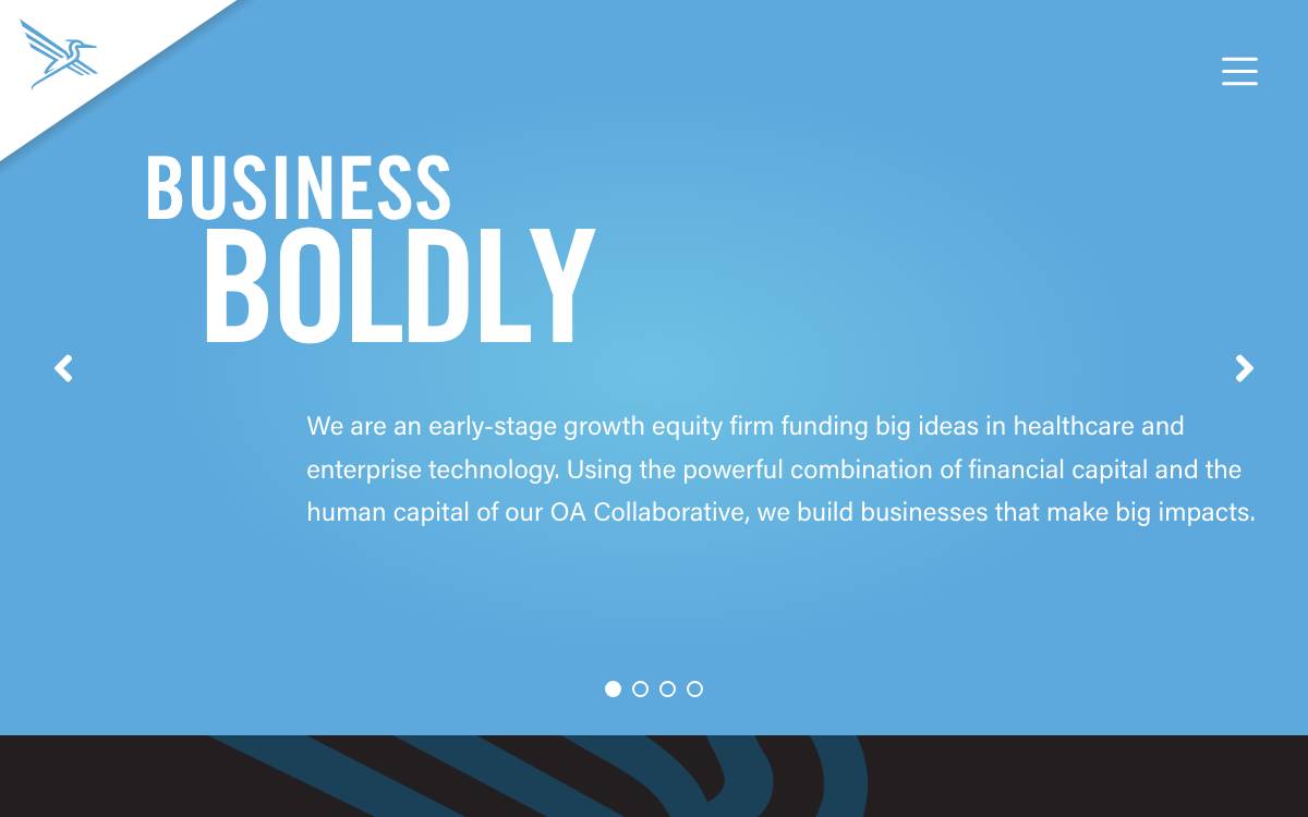 Blue Heron Capital website preview