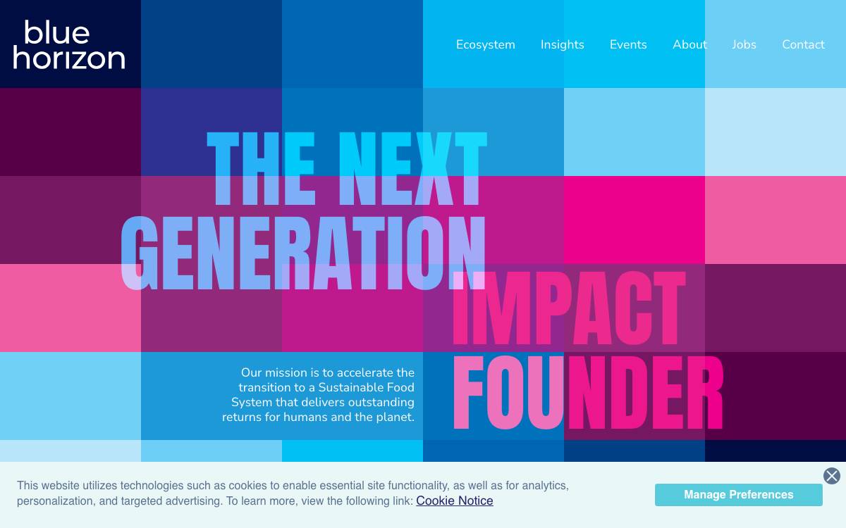 Blue Horizon Corporation website preview