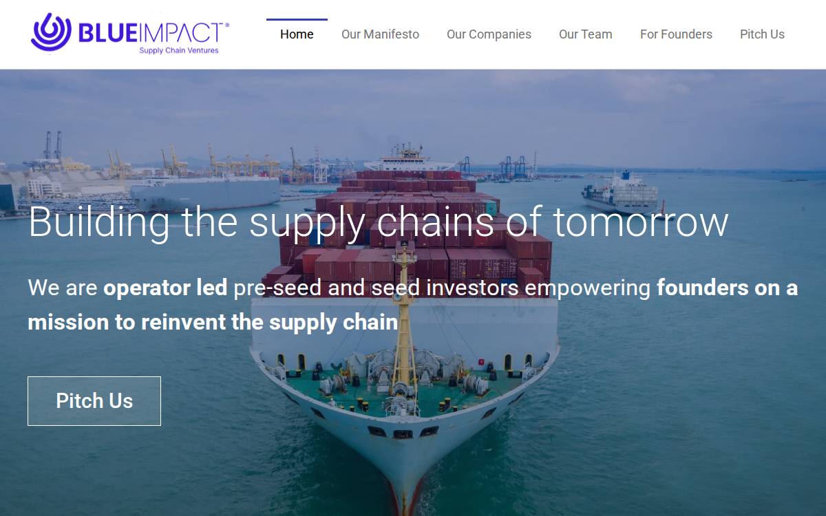 Blue Impact website preview