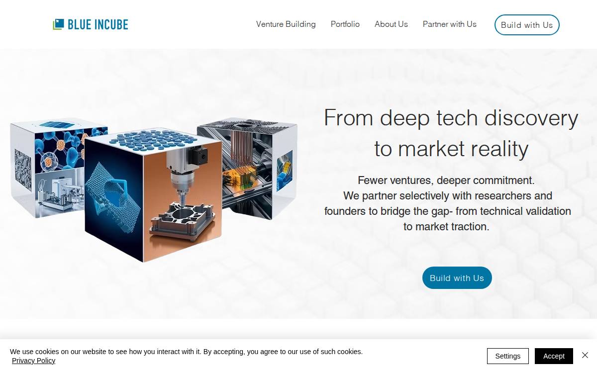Blue InCube Ventures website preview