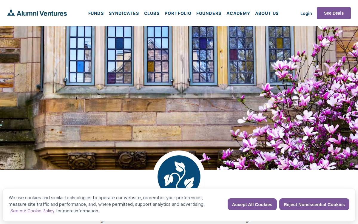 Blue Ivy Ventures website preview