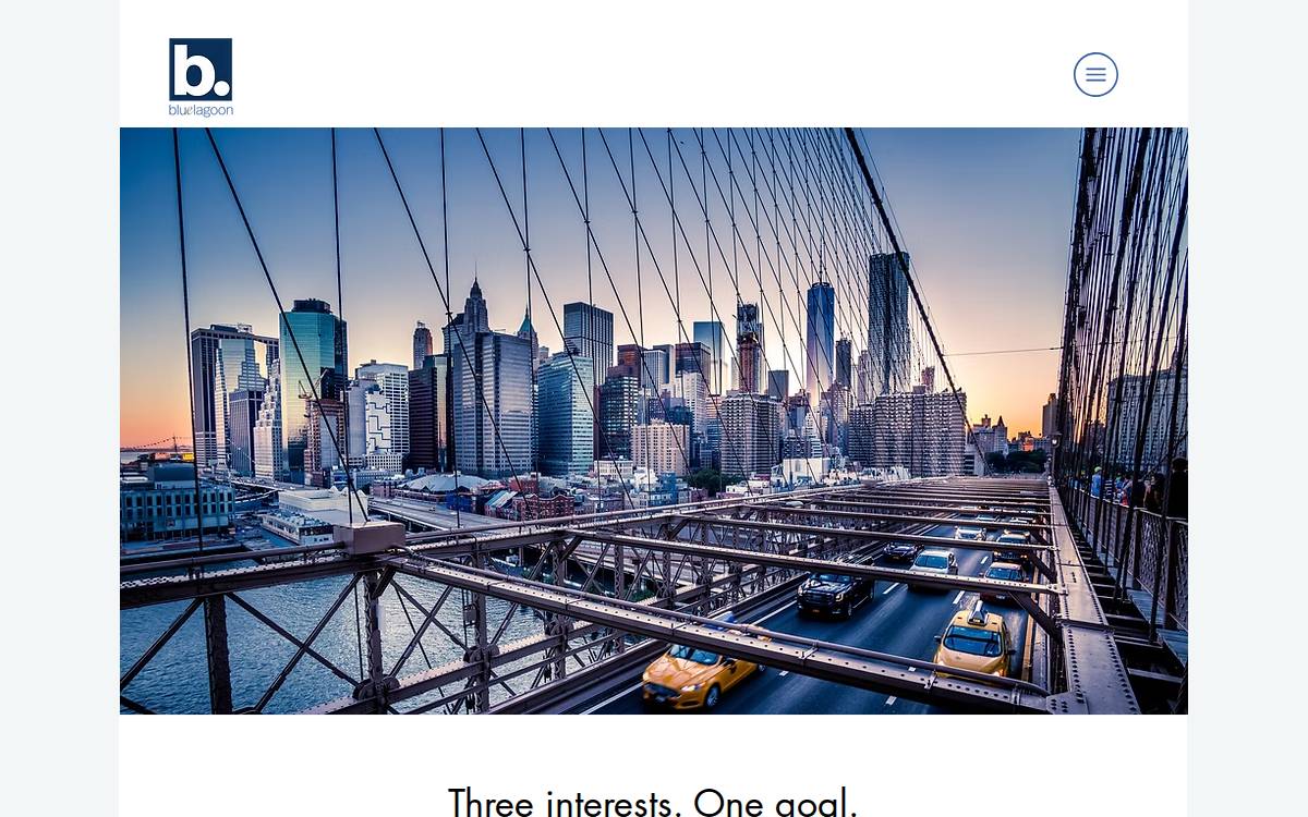BLUE LAGOON CAPITAL website preview