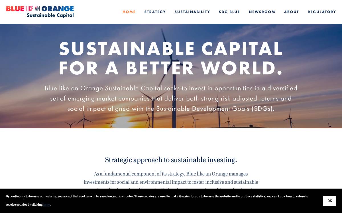 Blue like an Orange Sustainable Capital website preview