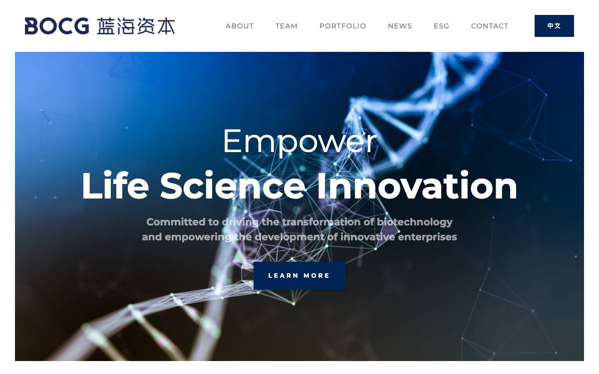 Blue Ocean Capital Group website preview
