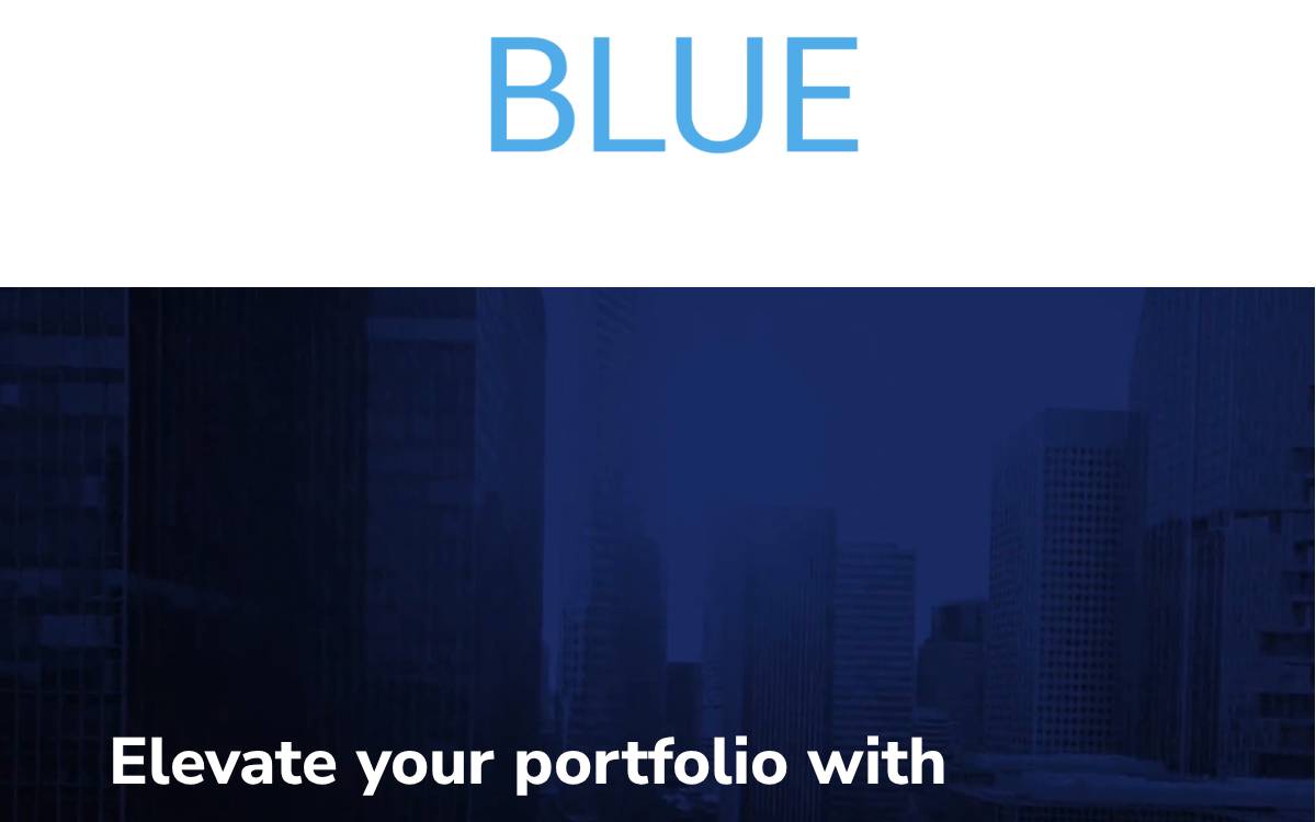 Blue Palm Capital website preview