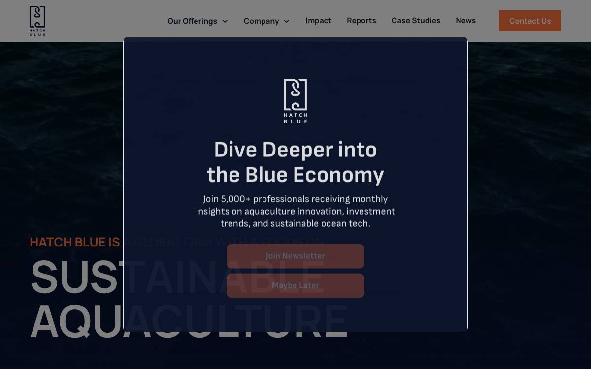 Blue Revolution Investments G.P. website preview