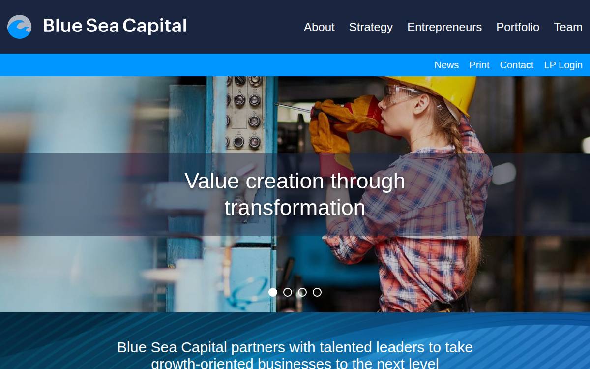 Blue Sea Capital website preview