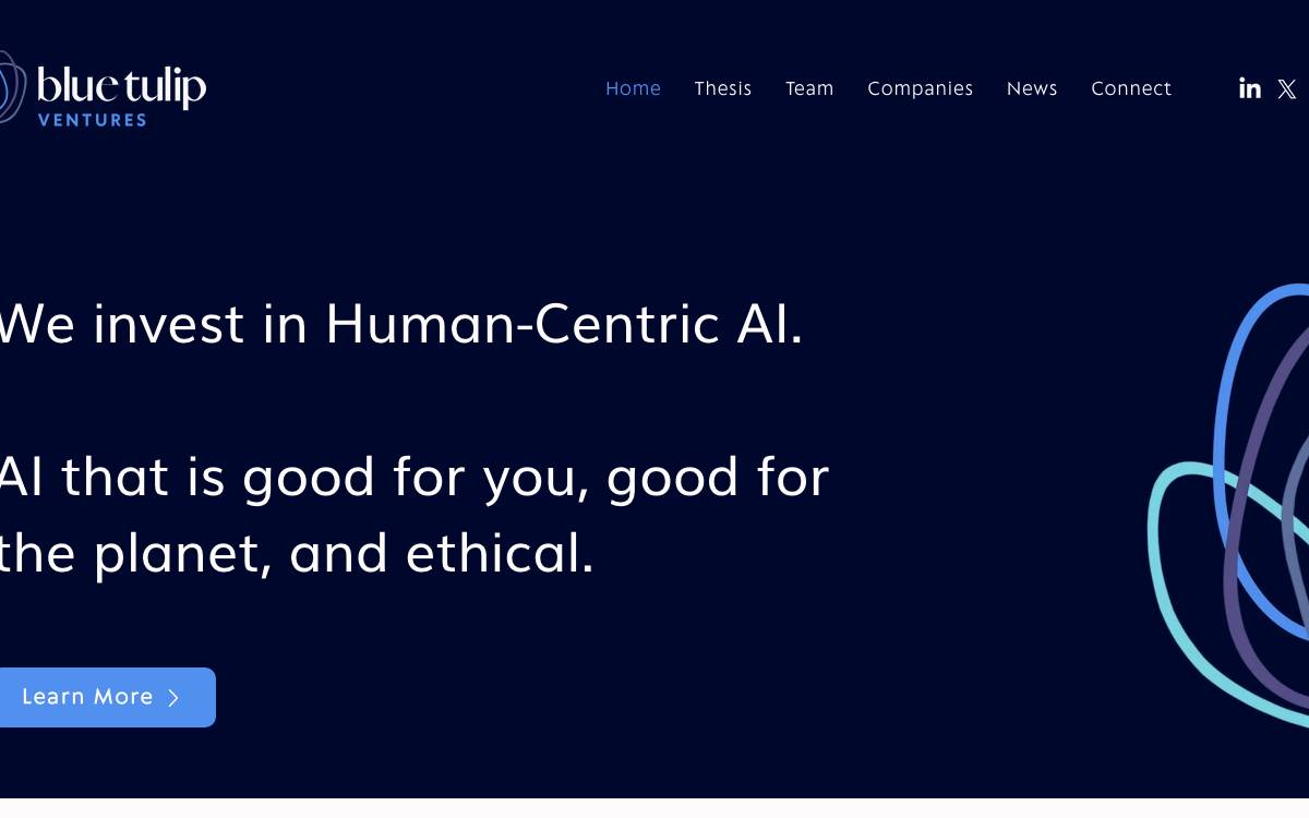 Blue Tulip Ventures website preview